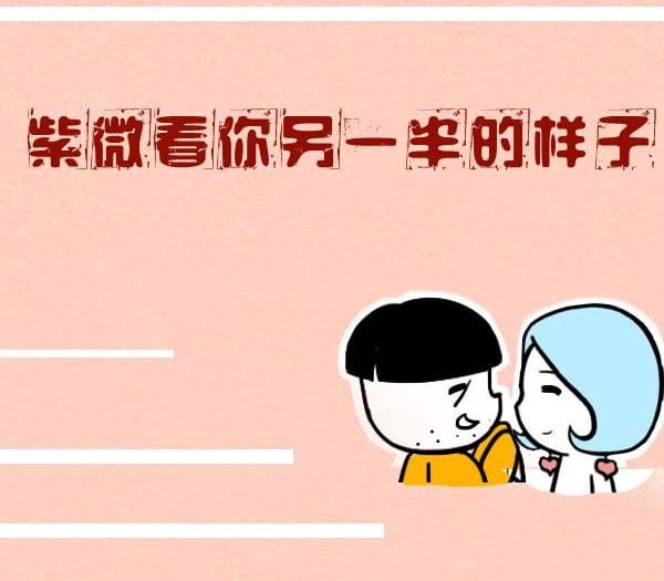 紫微斗数看另一半长相