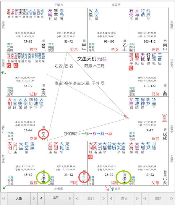 紫微斗数命盘案例