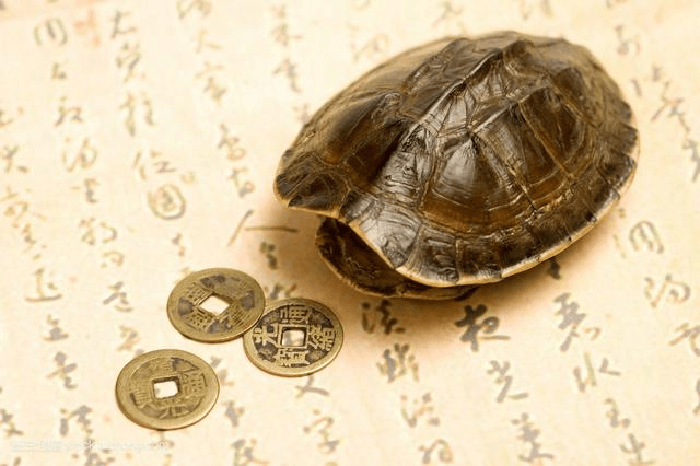 龟壳金钱占